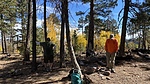 photo thumbnail #11