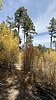 photo thumbnail #12