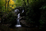 photo thumbnail #6