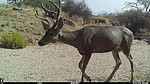 photo thumbnail #1