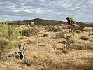photo thumbnail #2