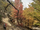 photo thumbnail #3