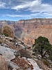 photo thumbnail #13