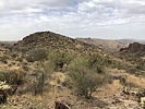 photo thumbnail #7