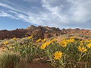 photo thumbnail #14