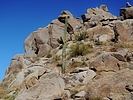photo thumbnail #9