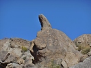 photo thumbnail #14