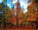 photo thumbnail #6