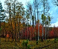 photo thumbnail #10