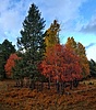 photo thumbnail #4