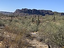 photo thumbnail #3
