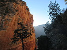 photo thumbnail #2