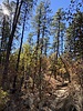 photo thumbnail #3