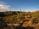 photo thumbnail #4