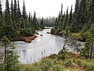 photo thumbnail #8