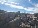 photo thumbnail #7