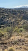 photo thumbnail #15