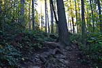 photo thumbnail #5