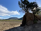 photo thumbnail #7