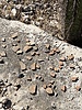 photo thumbnail #11