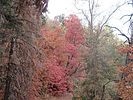 photo thumbnail #5