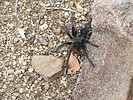 photo thumbnail #14