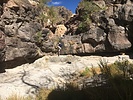 photo thumbnail #9