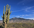 photo thumbnail #4