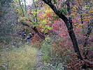 photo thumbnail #2