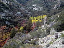 photo thumbnail #8