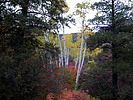 photo thumbnail #12