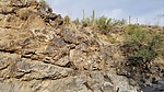 photo thumbnail #2