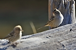 photo thumbnail #14