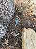 photo thumbnail #13