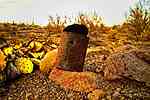 photo thumbnail #6