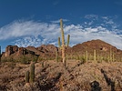 photo thumbnail #6