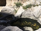 photo thumbnail #15