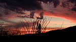 photo thumbnail #13