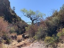 photo thumbnail #5