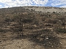 recent photo