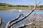 photo thumbnail #14