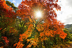 photo thumbnail #15