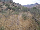 photo thumbnail #3