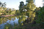 photo thumbnail #6
