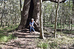 photo thumbnail #4