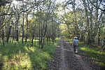 photo thumbnail #13