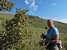 2020-08-29 Antelope Mountain :: azbackpackr