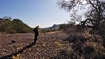 photo thumbnail #2