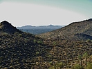 photo thumbnail #10