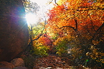 photo thumbnail #10